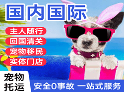 宜春明月山空运代理国际宠物托运 【国
